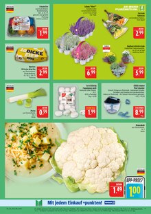 Pflanzen im Marktkauf Prospekt "AUSWAHL RIESIG, PREISE NIEDRIG" mit 44 Seiten (Leipzig)