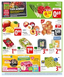 EDEKA Zwiebeln im Prospekt 