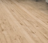Laminat im Angebot bei toom Baumarkt in Buchholz Laminat Angebote bei toom Baumarkt Buchholz für 15,99 €