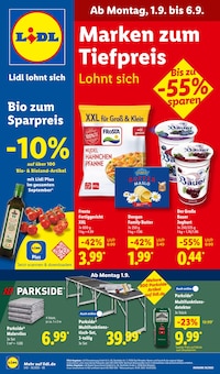 Lidl Prospekt "LIDL LOHNT SICH" mit 68 Seiten