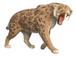 Spielfiguren im Müller Prospekt SÄBELZAHNTIGER von SCHLEICH im aktuellen Müller Prospekt für 8,99 €
