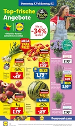 Wassermelone Angebot im aktuellen Lidl Prospekt auf Seite 44