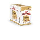 Zookauf Neubrandenburg Prospekt mit  im Angebot für 11,99 €