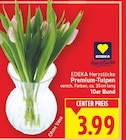 Aktuelle Tulpen Angebote bei E center in Berlin Aktuelles Premium-Tulpen Angebot bei E center in Berlin ab 3,99 €