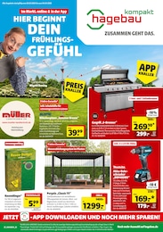 Aktueller hagebau kompakt Baumärkte Prospekt für Oerlenbach: SUPER DEALS mit 8} Seiten, 28.03.2026 - 04.04.2026