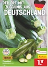 Zucchini für 1,11 € bei Netto Marken-Discount im Angebot Zucchini im aktuellen Netto Marken-Discount Prospekt