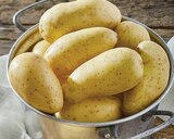 Pomme de terre de consommation à chair ferme - PRINCESSE AMANDINE - Intermarché Super à La Garenne-Colombes Pomme de terre de consommation à chair ferme - PRINCESSE AMANDINE en promo chez Intermarché Super La Garenne-Colombes à 2,79 €