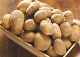 Filet de 10 kg - Netto à Charenton-le-Pont Filet de 10 kg en promo chez Netto Charenton-le-Pont à 4,49 €