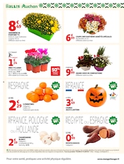 Promos Jardinière dans le catalogue "OFFRES DU MOMENT" de Auchan Supermarché Jardinière en promo dans le catalogue Auchan Supermarché à la page 8
