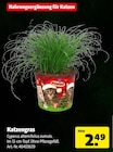 Katzengras bei Hagebaumarkt im Steinhagen Prospekt für 2,49 €