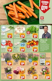 REWE Hochbeet im Prospekt 