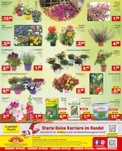 Gartenerde im Zimmermann Prospekt in Göttingen Aktueller Zimmermann Prospekt mit Gartenerde, "Mehr als Du denkst!", Seite 12