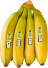 Bananen Angebote von EDEKA Bio bei EDEKA Buxtehude für 1,89 €