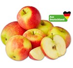 NATURGUT Deutsche Bio-Äpfel* bei Penny im Köthen Prospekt für 1,99 €