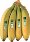 Bio Bananen Angebote von WWF bei aktiv & irma Oldenburg für 1,59 €
