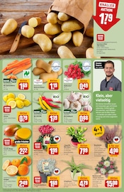 Blumen im REWE Prospekt in Fürth Aktueller REWE Prospekt mit Blumen, "Dein Markt", Seite 9