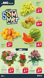 Aktueller Netto mit dem Scottie Prospekt mit Kiwi, "Günstig. Besser. Für Dich.", Seite 2