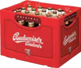 Aktuelles tschechisches Bier Angebot bei E center in Rostock ab 14,99 €