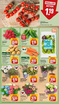 Paprika im aktuellen REWE Prospekt (Recklinghausen) Paprika im REWE Prospekt "Dein Markt" mit 32 Seiten (Recklinghausen)