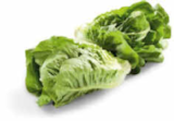 Aktuelles Mini-Romanasalat Angebot bei Netto Marken-Discount in Nürnberg ab 0,88 €