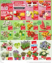Kochtopf im Kaufland Prospekt in Hildesheim Aktueller Kaufland Prospekt mit Kochtopf, "Aktuelle Angebote", Seite 10