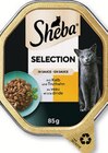budni - Katzennahrung Angebot im Prospekt Katzennahrung bei budni im Prospekt "" für 0,49 €