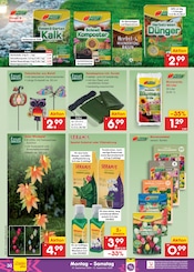 Blumenerde im Netto Marken-Discount Prospekt in Altenburg Aktueller Netto Marken-Discount Prospekt mit Blumenerde, "Aktuelle Angebote", Seite 46