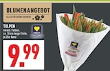 Aktuelles Tulpen Angebot bei Marktkauf in Recklinghausen ab 9,99 €