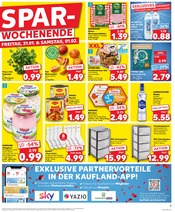 Aktueller Kaufland Prospekt mit Katzenfutter, "KNÜLLER", Seite 16