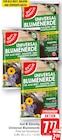 Aktuelle Gartenerde Angebote bei E center in Trier Aktuelles Universal Blumenerde Angebot bei E center in Trier ab 2,59 €
