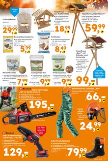 Gartenmöbel im aktuellen Globus-Baumarkt Prospekt (Leipzig) Gartenmöbel im Globus-Baumarkt Prospekt "Immer eine Idee besser" mit 11 Seiten (Leipzig)