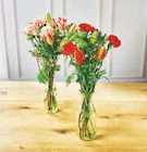 Bouquet composé saint gall - Super U à Antibes Bouquet composé saint gall en promo chez Super U Antibes à 5,99 €