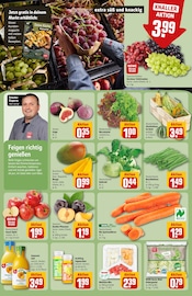 Salat Angebot im aktuellen REWE Prospekt auf Seite 6