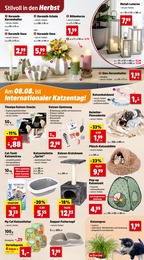 Vase Angebot im aktuellen Thomas Philipps Prospekt auf Seite 5