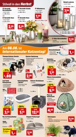 Aktueller Thomas Philipps Prospekt mit Tierfutter, "Top Angebote", Seite 5
