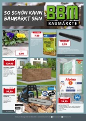 Aktueller BBM Baumarkt Baumarkt Prospekt in Lübz und Umgebung, "So schön kann Baumarkt sein!" mit 16 Seiten, 03.02.2025 - 08.02.2025