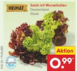 Aktuelles Salat mit Wurzelballen Angebot bei Netto Marken-Discount in Hannover ab 0,99 €