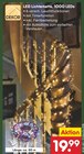 Aktuelles LED Lichterkette, 1000 LEDs Angebot bei Netto Marken-Discount in Essen ab 19,99 €