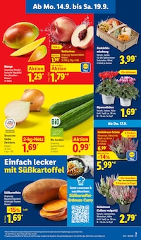 Nektarinen im aktuellen Lidl Prospekt (Mannheim) Nektarinen im Lidl Prospekt "LIDL LOHNT SICH" mit 71 Seiten (Mannheim)