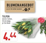 Angebot im Marktkauf Münster Prospekt Marktkauf Münster Prospekt mit im Angebot für 4,44 €