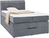 BOXSPRINGBETT „RUNNER“ bei mömax im Regensburg Prospekt für 499,00 €