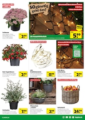 Aktueller Hagebaumarkt Prospekt mit Lichterkette, "SO günstig geht das!", Seite 19