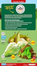 Salat im Penny Prospekt in Halle Aktueller Penny Prospekt mit Salat, "Wer günstig will, muss Penny.", Seite 7