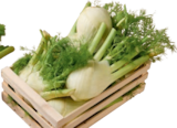 Bio-Fenchel im tegut Prospekt Bio-Fenchel von demeter oder Bioland im aktuellen tegut Prospekt für 1,49 €