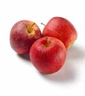 Aktuelle Äpfel Angebote bei GLOBUS in Duisburg Aktuelles Bio Tafeläpfel rot Angebot bei GLOBUS in Duisburg
