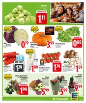 Ähnliche Angebote wie Regentonne im Prospekt "Jetzt noch mehr Angebote" auf Seite 3 von EDEKA in Ravensburg