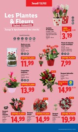 Fleurs Angebote im Prospekt "Moins Cher !" von Lidl auf Seite 35