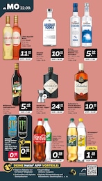 Netto mit dem Scottie Brandy im Prospekt 