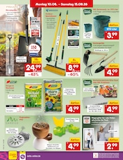 Spaten im Netto Marken-Discount Prospekt in Moers Aktueller Netto Marken-Discount Prospekt mit Spaten, "Aktuelle Angebote", Seite 65