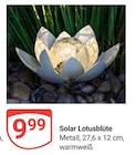 Angebot im GLOBUS Siegen (Universitätsstadt) Prospekt GLOBUS Siegen (Universitätsstadt) Prospekt mit im Angebot für 9,99 €